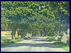 Skarhultsdalen_06